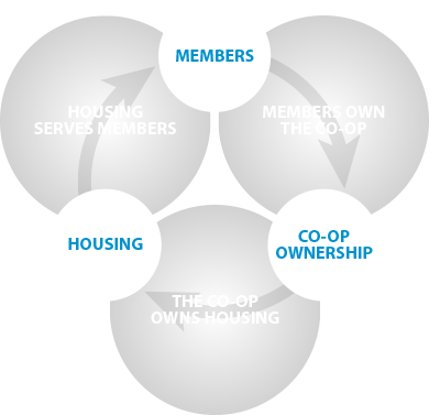 Housing co-operative shared owenrship principal diagram.